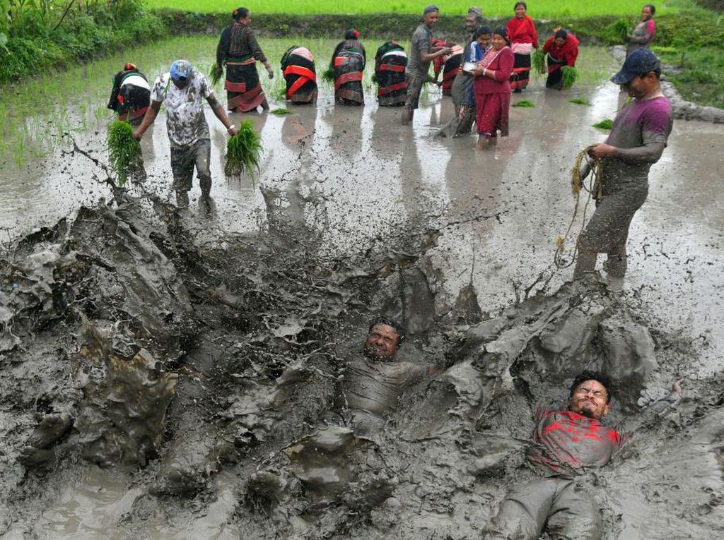 Potret Petani Nepal Asyik Main Lumpur Saat Hari Padi Nasional