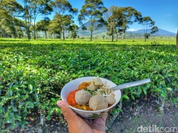 Sensasi Makan Bakso di Tengah Perkebunan Teh Malabar Pangalengan