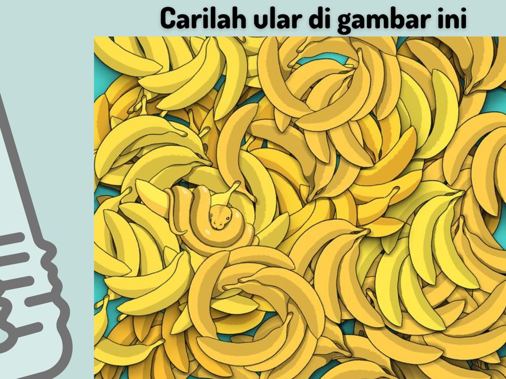 Tebak-tebakan Ini Bisa Bikin Otak Kamu Fresh Lagi, Coba Pecahkan! Tebak-tebakan Ini Bisa Bikin Otak Kamu Fresh Lagi, Coba Pecahkan!