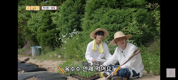 Episode Delapan / Foto : youtube.com/c/채널십오야 Episode Delapan / Foto : youtube.com/c/채널십오야