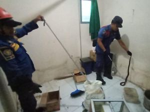 Ngeri! Sepasang Kobra Masuk Rumah Warga di Bogor