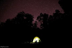 Para Penjaga Damai Gajah dan Manusia di Pedalaman Sumatera