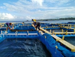 Berpelesir ke Kampung Kerapu Candikusuma, Tawarkan Paket Lengkap