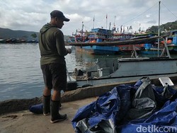 Nelayan Pacitan Setop Melaut Imbas Gelombang Tinggi di Perairan Selatan Jawa