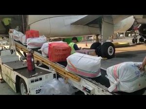 Wajo Kirim 162 Ton Cabai ke Jawa, Sumatera hingga Papua Wajo Kirim 162 Ton Cabai ke Jawa, Sumatera hingga Papua