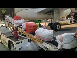 Wajo Kirim 162 Ton Cabai ke Jawa, Sumatera hingga Papua