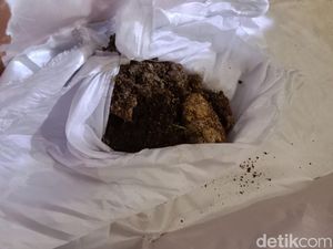 Viral Makam Sisingamangaraja XII Dibongkar Orang, 11 Pelaku Diamankan Viral Makam Sisingamangaraja XII Dibongkar Orang, 11 Pelaku Diamankan