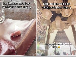 Jijik! Lagi Makan di Restoran Tiba-tiba Ada Bayi Tikus Jatuh