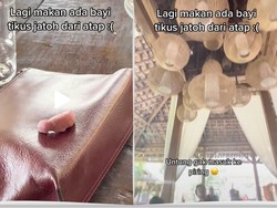 Jijik! Lagi Makan di Restoran Tiba-tiba Ada Bayi Tikus Jatuh