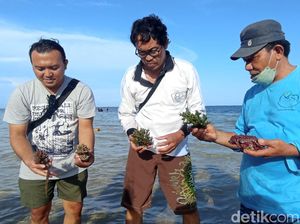Aksi Warga Sanur Rawat Terumbu Karang di Tengah Ancaman Terminal LNG Aksi Warga Sanur Rawat Terumbu Karang di Tengah Ancaman Terminal LNG