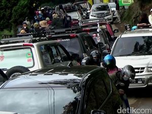 Embun Es Bikin Pelancong Penasaran, Kawasan Dieng Macet