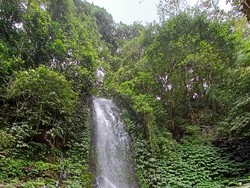 Mengunjungi Air Terjun Rajapala di Pujungan Tabanan