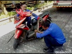 Meresahkan, Ular Piton 2 Meter di Trenggalek Ngumpet dalam Bodi Motor Warga
