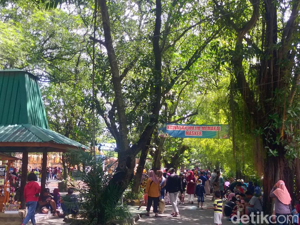 Pengunjung KBS Capai 10 Ribu Saat Liburan Sekolah Pengunjung KBS Capai 10 Ribu Saat Liburan Sekolah
