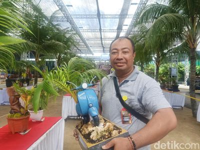 Kreatif, Pria Ini Bikin Miniatur Vespa dari Bonsai Kelapa