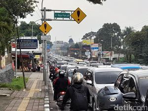 Alasan Mereka Rela ke Puncak Meski Macet-macetan Alasan Mereka Rela ke Puncak Meski Macet-macetan