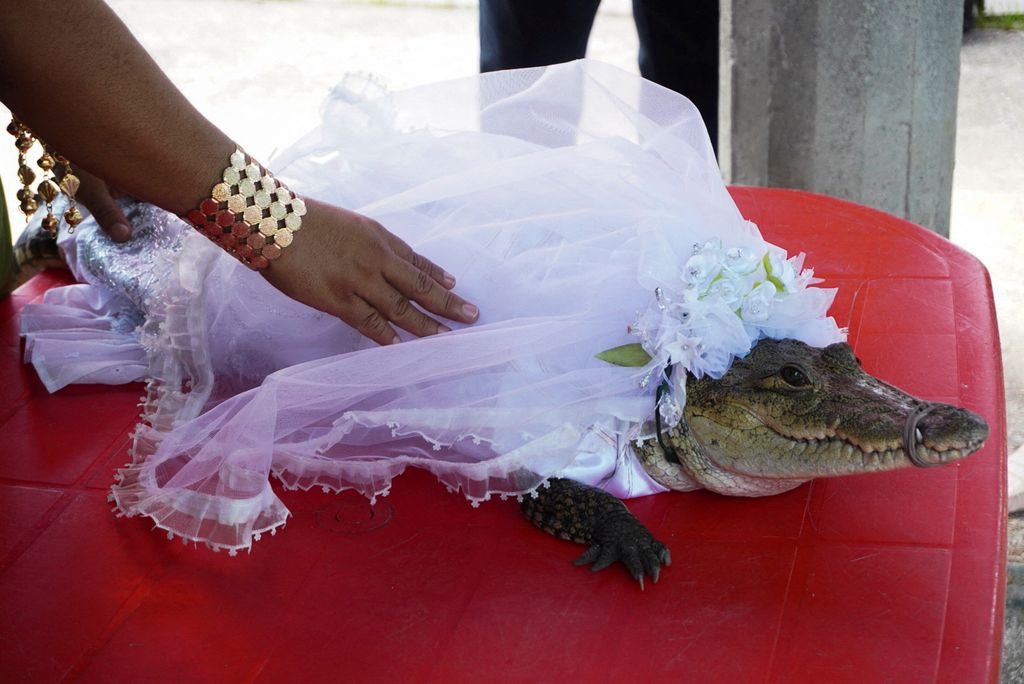 The San Pedro Huamelula Mayor Victor Hugo Sosa kisses a seven-year-old alligator dressed as a bride during a traditional ritual marriage, likely dates back centuries to pre-Hispanic times, between the mayor and the reptile that depicts a princess, as a prayer to plead for nature's bounty, in San Pedro Huamelula, in Oaxaca state, Mexico June 30, 2022. REUTERS/Jose de Jesus Cortes     TPX IMAGES OF THE DAY