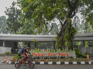 Wagub DKI Larang PKL Dagang di Pinggir Tebet Eco Park