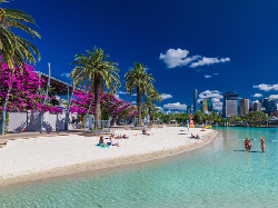 3 Tempat Menarik di Brisbane, Bermain di Pantai Buatan-Melihat Koala