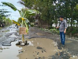 Aksi Warga di Lutra Protes Jalan Rusak, Tanam Pohon Pisang-Memancing