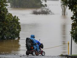 Foto-foto Pinggiran Kota Sydney yang Dikepung Banjir Parah