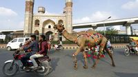 Di Pakistan, Unta Hewan Kurban Dihias Kalung Warna-warni