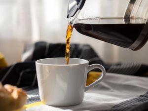 Jurus Jitu Sukses Jualan Minuman Kopi Ada di Acara Hari Ini, GRATIS Jurus Jitu Sukses Jualan Minuman Kopi Ada di Acara Hari Ini, GRATIS