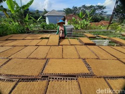 Petani Tembakau Kirim Surat ke Jokowi, Ini Isinya