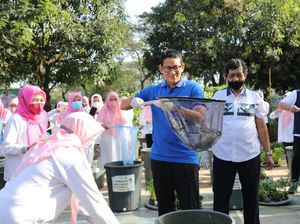 Bareng Warga, Sandiaga Uno Panen 337 Kg Ikan Lele di Jaksel