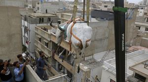 Sapi Kurban Bergelantungan di Karachi, Ada Apa?