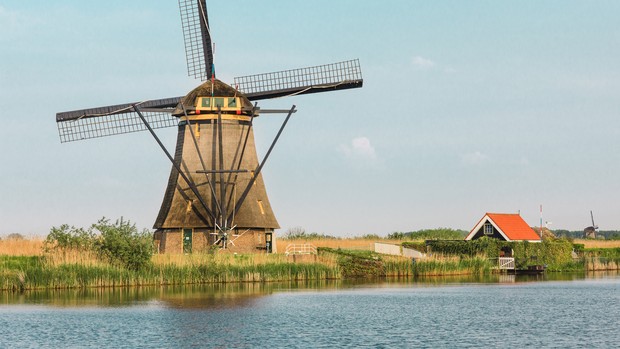 Sederet negara yang melegalkan pemakaian ganja/freepik/master1305 Belanda menjadi negara yang melegalkan pemakaian ganja di wilayahnya.