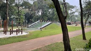 Foto: Rerumputan Tebet Eco Park Mulai Menghijau Kembali