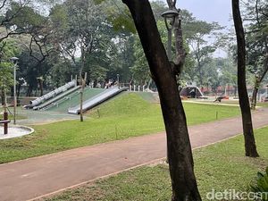 Foto: Rerumputan Tebet Eco Park Mulai Menghijau Kembali