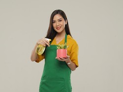 Bibit Tanaman-Sprei Jadi Produk yang Paling Banyak Dicari di Tokopedia