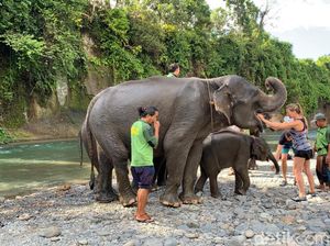 Kunjungan Turis Asing ke Sumut Meningkat, BPS: Sinyal Positif untuk Pariwisata