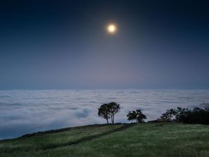 California Punya Negeri di Atas Awan Juga Lho