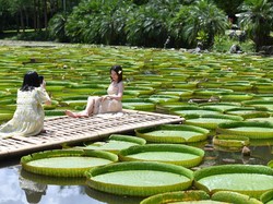 Kota di China Ini Bebas Visa untuk WNI Lho...