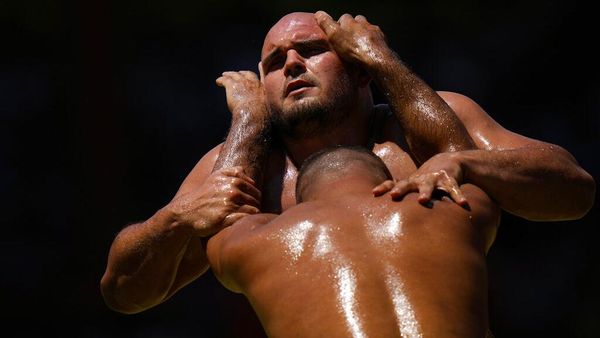 Adu Kuat Para Pegulat Minyak di Turki