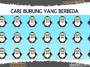 Tebak-tebakan untuk Si Paling Teliti, Bisa Sefokus Apa Mengamati?