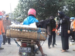 Jelang Idul Adha, Bupati Mojokerto Cek Kesiapan Pasar Hewan