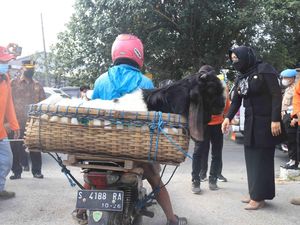 Jelang Idul Adha, Bupati Mojokerto Cek Kesiapan Pasar Hewan Jelang Idul Adha, Bupati Mojokerto Cek Kesiapan Pasar Hewan