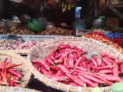 Jelang Idul Adha, Harga Cabai di Majalengka Makin Pedas