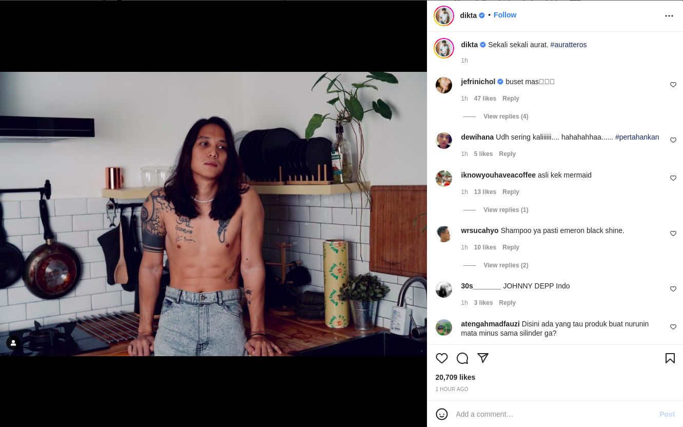 Unggahan Dikta