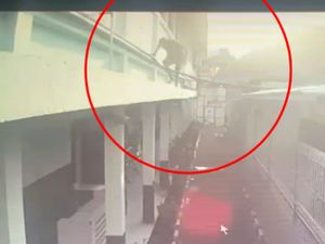 Rekaman Napi Kelas I A Kota Solo Coba Kabur Lewat Atap, Tapi...