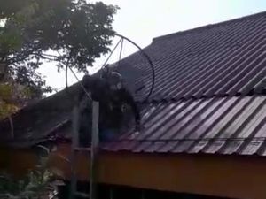 Viral Paramotor Mendarat di Atap SMA Kota Batu gegara Terhempas Angin Kencang