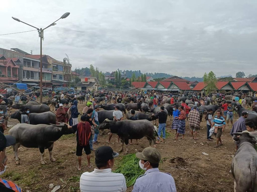 Lockdown Ternak di Torut Dilonggarkan, Pasar Hewan Bolu Kembali Dibuka