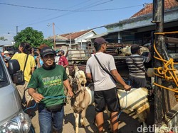 Imbas PMK, Warga di Ponorogo Lebih Pilih Kambing untuk Kurban
