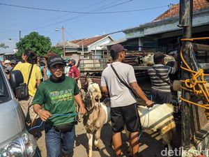 Imbas PMK, Warga di Ponorogo Lebih Pilih Kambing untuk Kurban Imbas PMK, Warga di Ponorogo Lebih Pilih Kambing untuk Kurban
