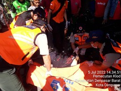 Pohon Tumbang Timpa Mobil-Motor di Denpasar, 1 Pengendara Tewas