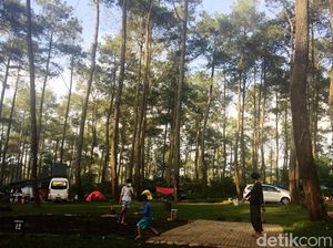 5 Tempat Wisata di Bandung yang Lagi Hits, Cocok Buat Liburan di 2024